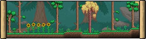 Forest - The Official Terraria Wiki