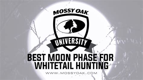 Best Moon Phase for Whitetail Deer Hunting - YouTube