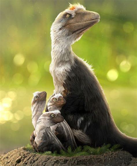 Dakotaraptor Pictures & Facts - The Dinosaur Database