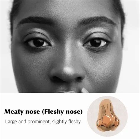 Explore Different types of Noses -Complete Guide to your queries