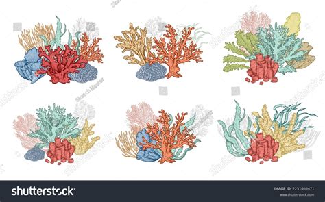 Hand Drawn Underwater Natural Elements Set Stock Vector (Royalty Free ...