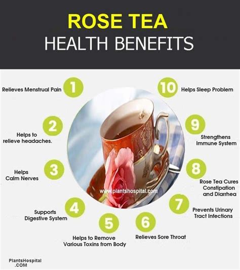 11 Best Health Benefits Of Rose Tea: Uses, Side Effects And Warnings | Rose tea benefits, Herbal ...