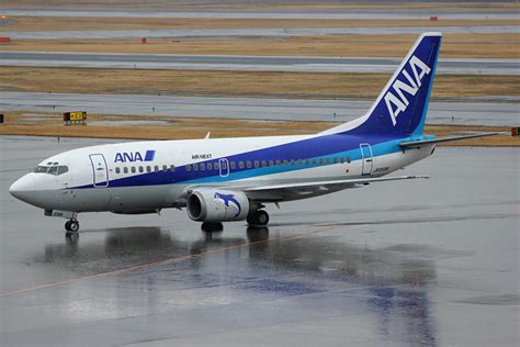 All Nippon Airways - Largest Airline Company in Japan