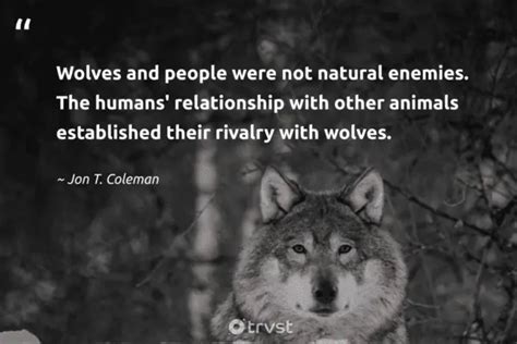 59 Wolf Quotes, Proverbs, and Sayings (2024)