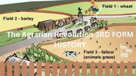 The Agrarian Revolution - 3rd Form History - YouTube