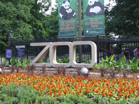 Visiting the National Zoo in Washington, D.C.