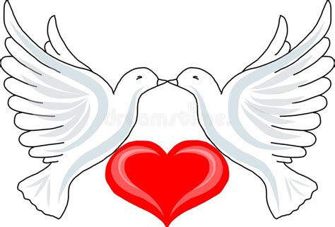 Two doves with heart stock vector. Illustration of characters - 48967145