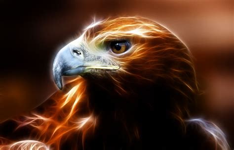 Golden Eagle by Alan Sheers, via 500px | Animal symbolism, Animal medicine, Golden eagle