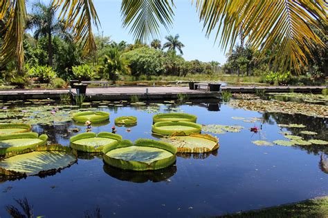 My Naples Favorites: Naples Botanical Garden - Friley Saucier