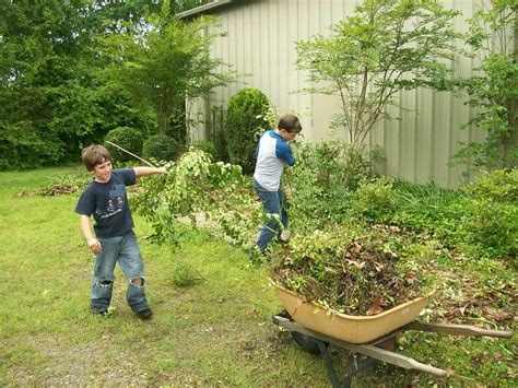 Spring Yard Clean Up Checklist [Easy & Efficient]