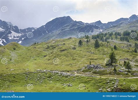 Panorama from Bernina Express Train Stock Photo - Image of meadow, express: 199274822