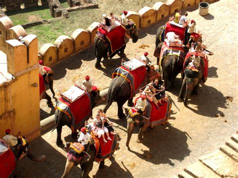 Fascinating Elephant Ride In Rajasthan - India Travel Blog