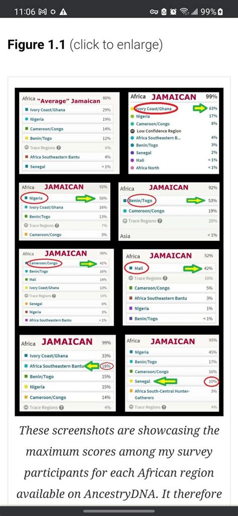 Average Jamaican ancestry results. : r/Jamaica