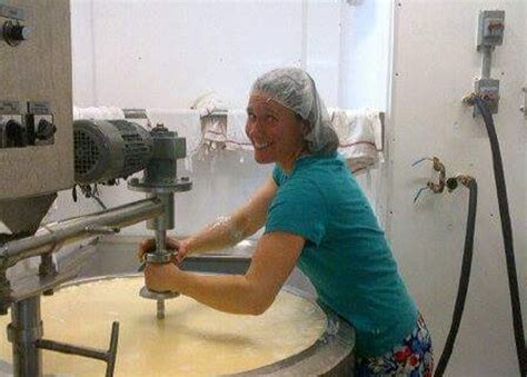 Cheese making- An overview