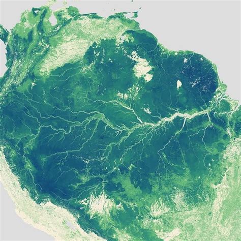 Rainforests Surrounding Amazon River Map sourc | Mappe