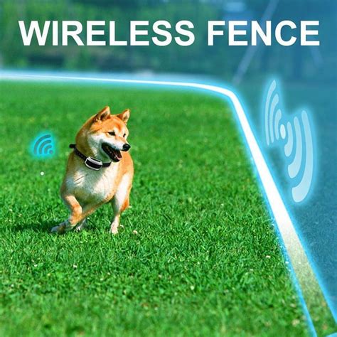 Wireless Dog Fence Collar System — Gear Elevation