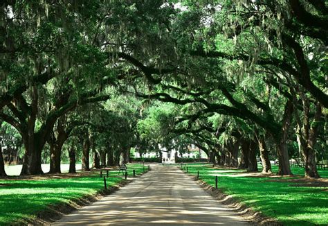 10 MUST-SEE Historic Sites In South Carolina (Guide + Photos)