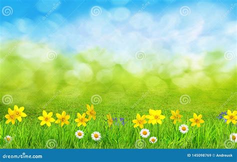 A Spring Flowers and Green Grass Background Stock Illustration ...