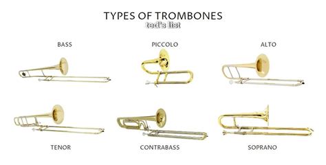 Discover The Different Trombone Types | Ted's List