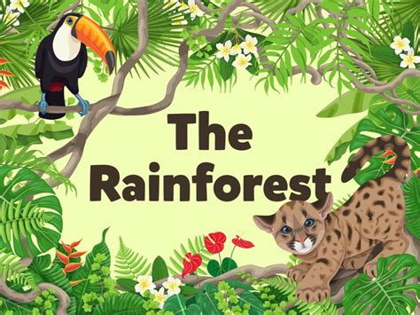 The Rainforest (EN UK) Free Games | Activities | Puzzles | Online for ...