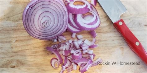 5 Ways to Preserve Onions | Rockin W Homestead