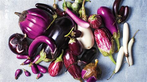 Eggplant Varieties | Martha Stewart