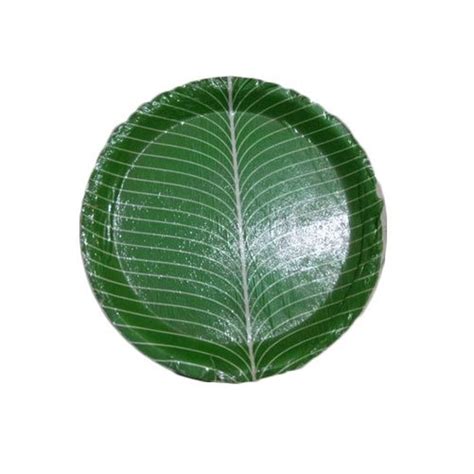 Banana Leaf Buffet Plate, Packaging Type: Packet at Rs 1.65/piece in ...