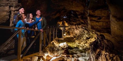 Glow Worm Caves, Te Anau - Everything New Zealand