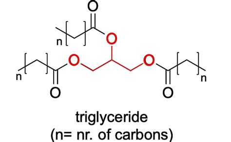 Typical structure of a triglyceride. Triglycerides are formed from a... | Download Scientific ...