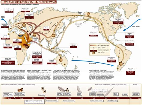 The Migration of Modern Humans | Human migration, Human evolution, Early humans