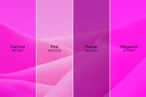 Fuchsia Color: Its Meaning, Similar Colors, and Codes - Picsart Blog