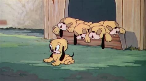 Pluto's Quin-puplets (1937) - AZ Movies