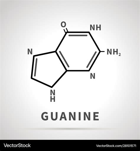 Découvrir 62+ imagen guanine formule - fr.thptnganamst.edu.vn