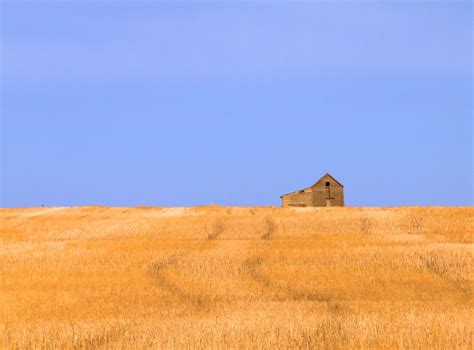 Alberta prairies Free Photo Download | FreeImages