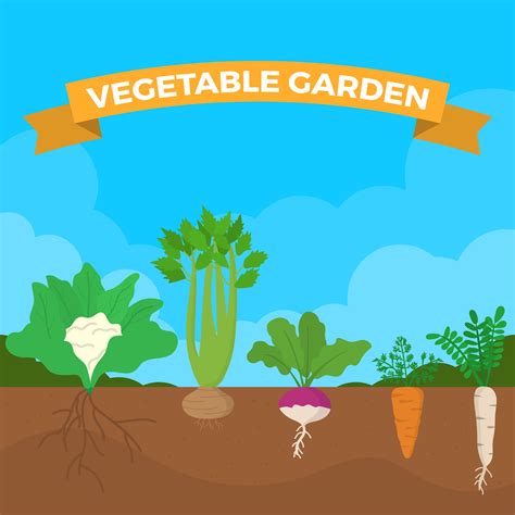 Flat Vegetable Garden Vector Illustration 202058 Vector Art at Vecteezy