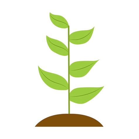 Premium Vector | Seedling icon vector illustration isolated on white ...