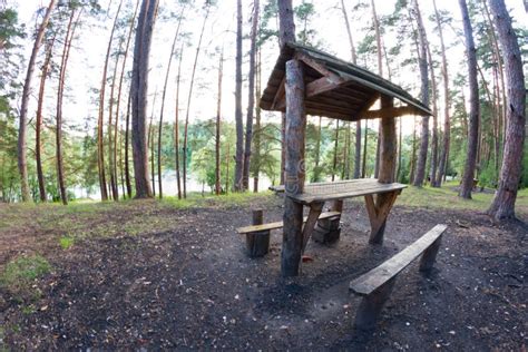 Picnic place in forest stock image. Image of table, country - 160435205