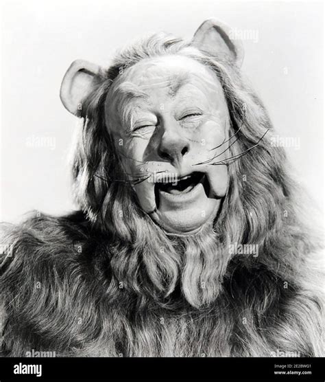 Wizard of oz lion hi-res stock photography and images - Alamy