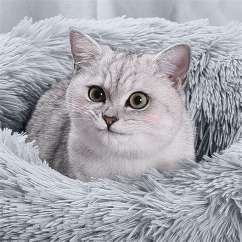 Soft Warm Cat Bed for Winter Cat Tent Self-Warming Sleeping Bed for ...