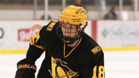 USA Hockey center Logan Cooley was the second-ranked North American ...