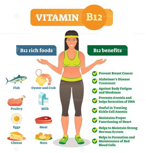 vitamin b12 – VectorMine