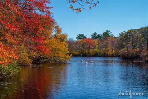 Canon 7D Tips – Fall on Long Island 2012 – photoframd.com