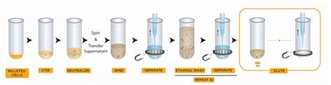 CosMCPrep, DNA Plasmid Purification - Beckman Coulter