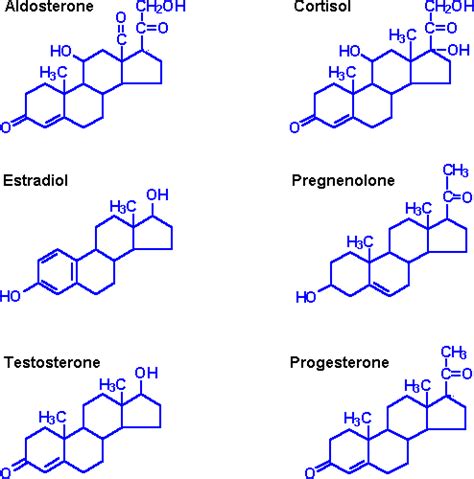 Type-1 Steroid Hormone Expression Regulation | MMG 233 2014 Genetics & Genomics Wiki | FANDOM ...