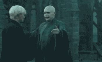 Lord Voldemort GIFs - Find & Share on GIPHY