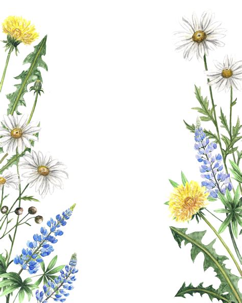 Watercolor wildflowers frames (306999) | Illustrations | Design Bundles | Illustration ...