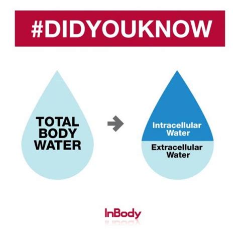 What is Total Body Water? - Chima Nwizu, MD