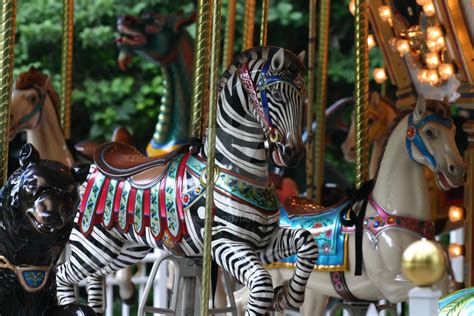 Carousel Zebra by DrRadie on DeviantArt