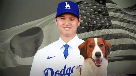 Dodgers: Shohei Ohtani's dog gets hilarious replica visa