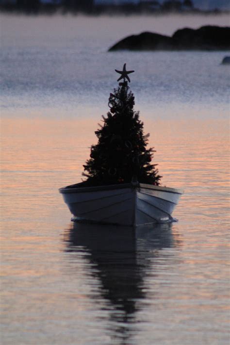 First Harbor Company Christmas Tree Boat | Noel